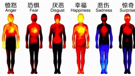 心情有哪些|人类情绪一共27种